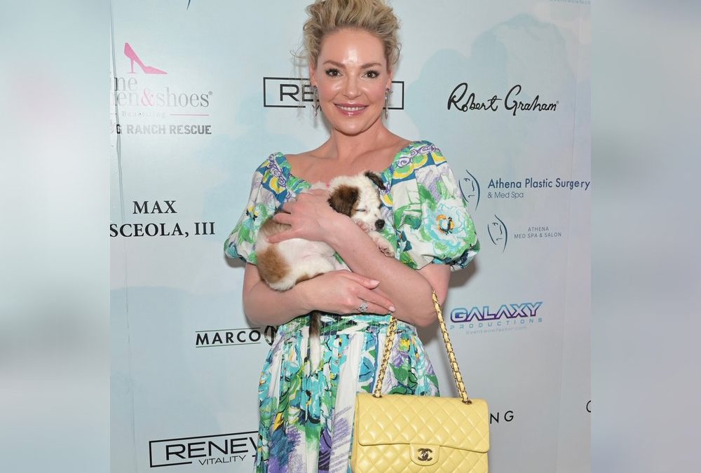 Katherine Heigl kehrt nach zwei Jahren auf den roten Teppich zurück