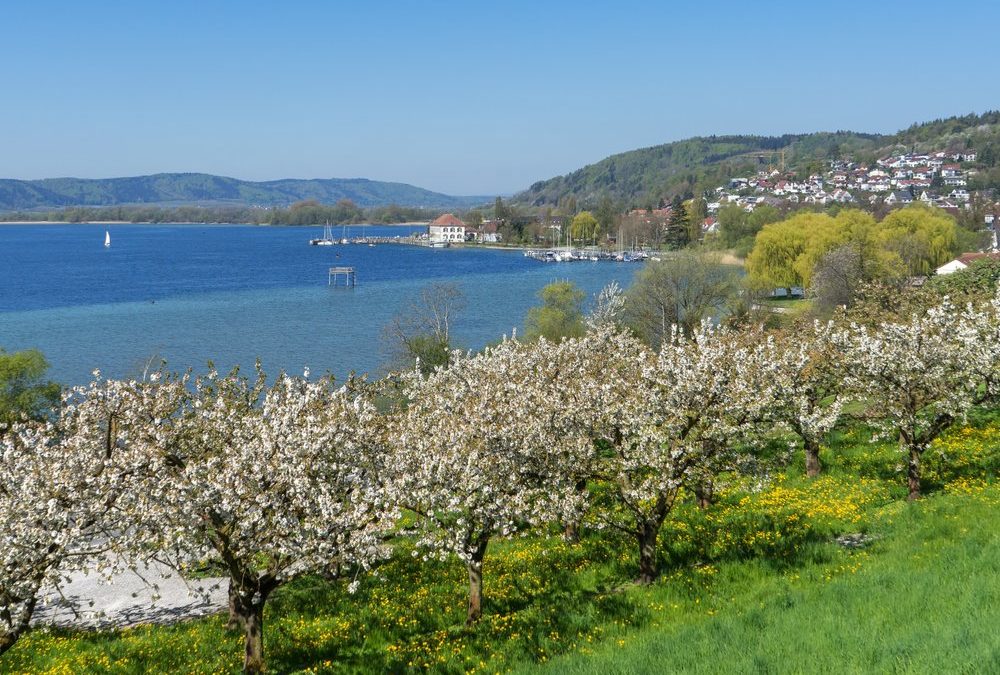 Marienschlucht am Bodensee nach elf Jahren wiedereröffnet