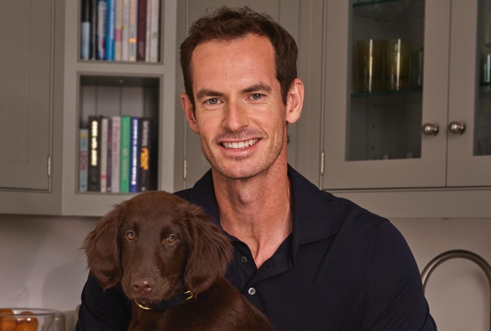 Andy Murray nach der Karriere: Zwischen Familie und neuen Aufgaben