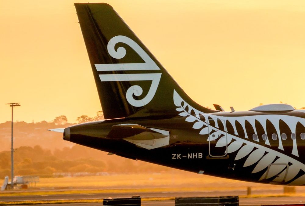 In der Economy: Air New Zealand bringt Etagenbetten ins Flugzeug