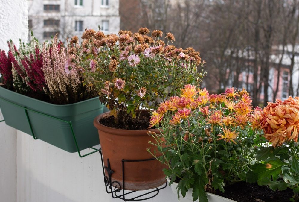 Balkon winterfest machen: Was jetzt noch erledigt werden muss